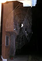 another web